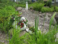 Fewo Anlage Hof  Im Innenhof finden Sie einen kleinen Teich mit liebevoll angelegtem Umfeld